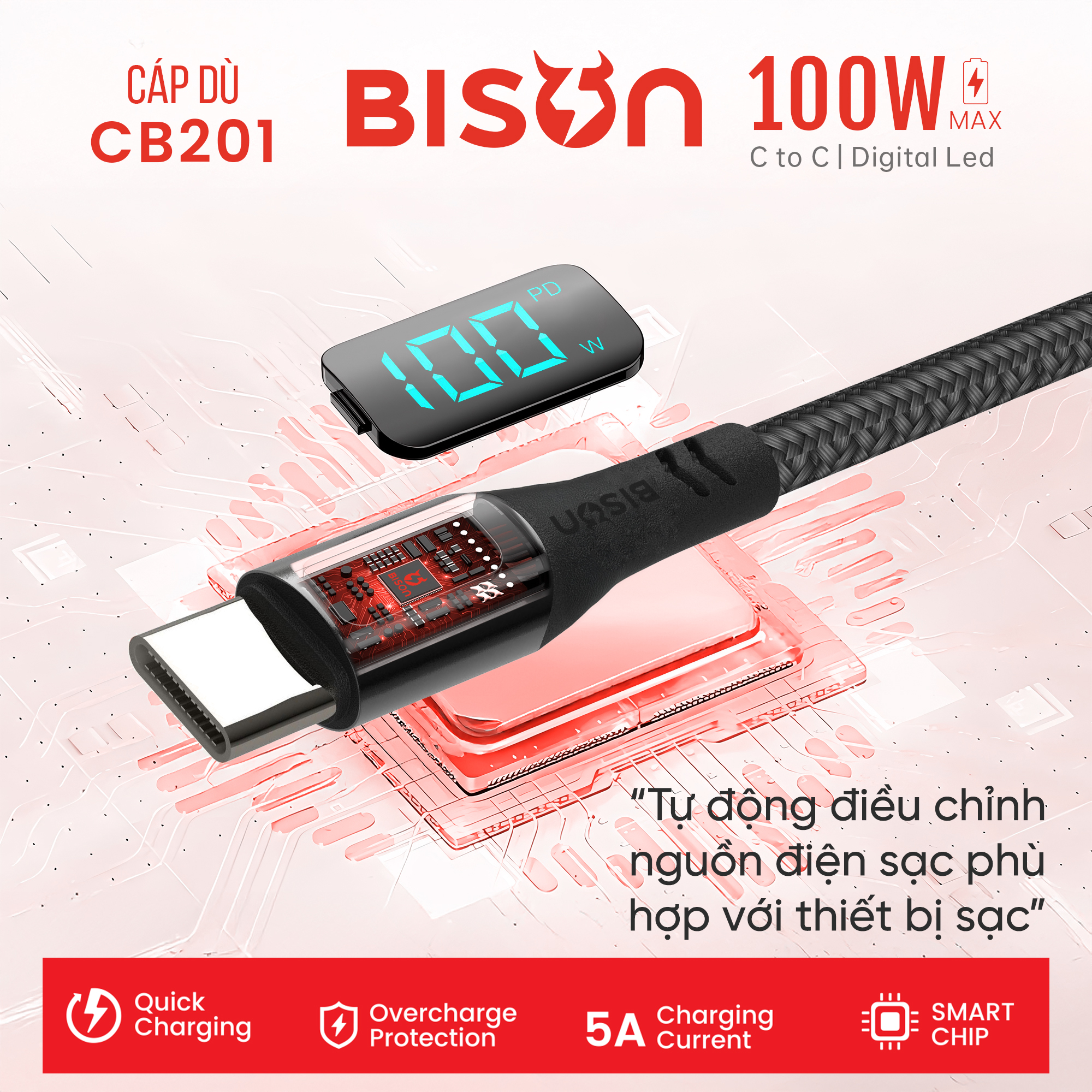 Cáp sạc Bison bọc dù 100W C to C, có đèn Digital Led CB201 (5)