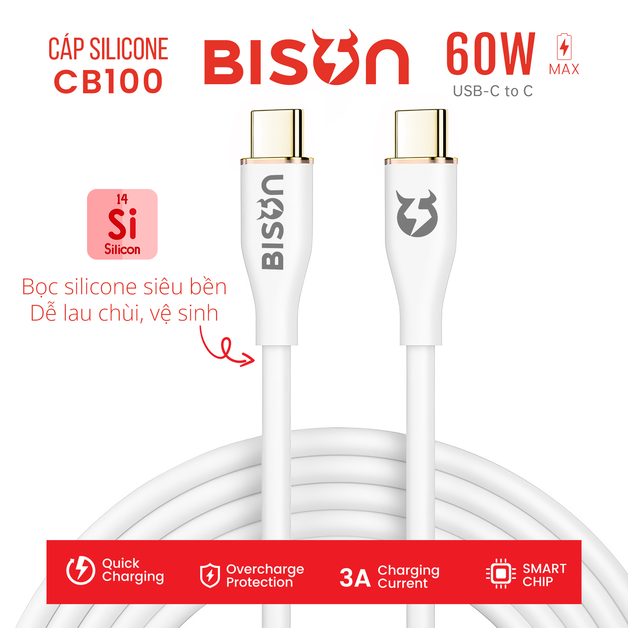Cap silicone Bison 60W C to C CB100 (10)