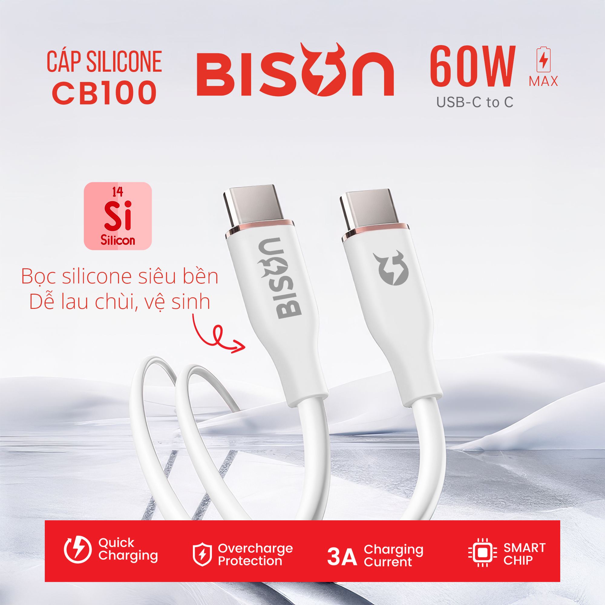 Cap silicone Bison 60W C to C CB100 (2)