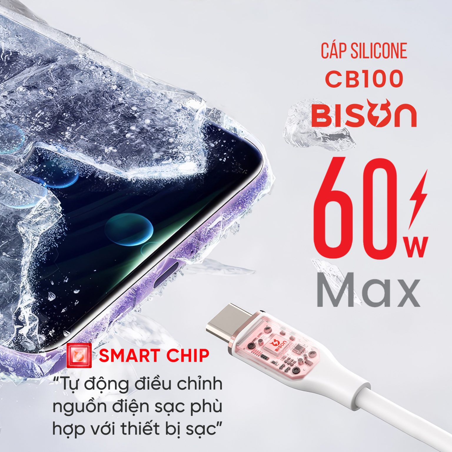 Cáp sạc Bison PD 60W CB100 C-C Silicone Cable - Bison