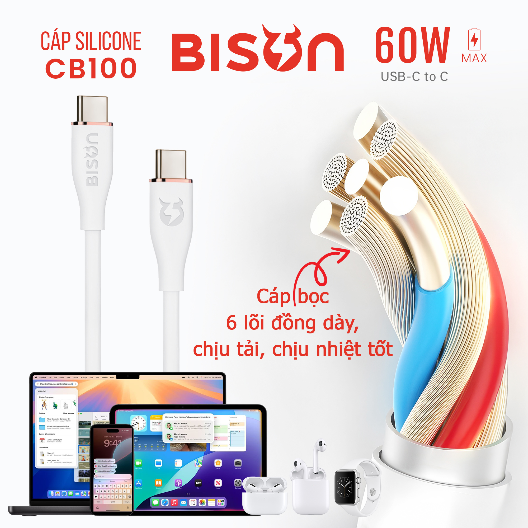 Cap silicone Bison 60W C to C CB100 (4)