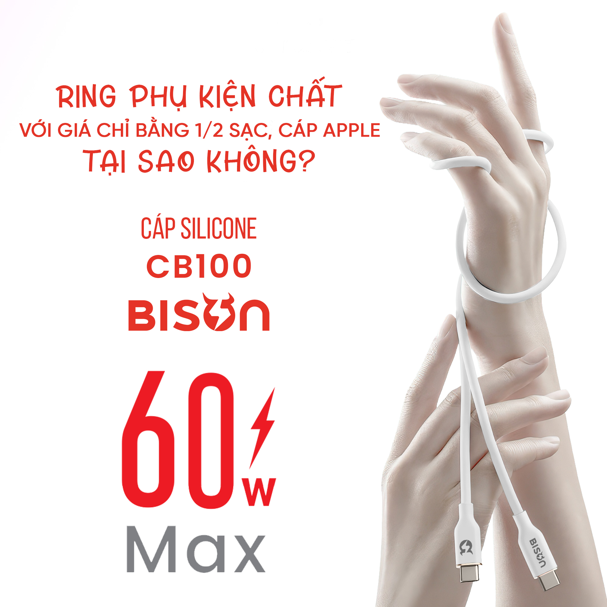 Cap silicone Bison 60W C to C CB100 (6)