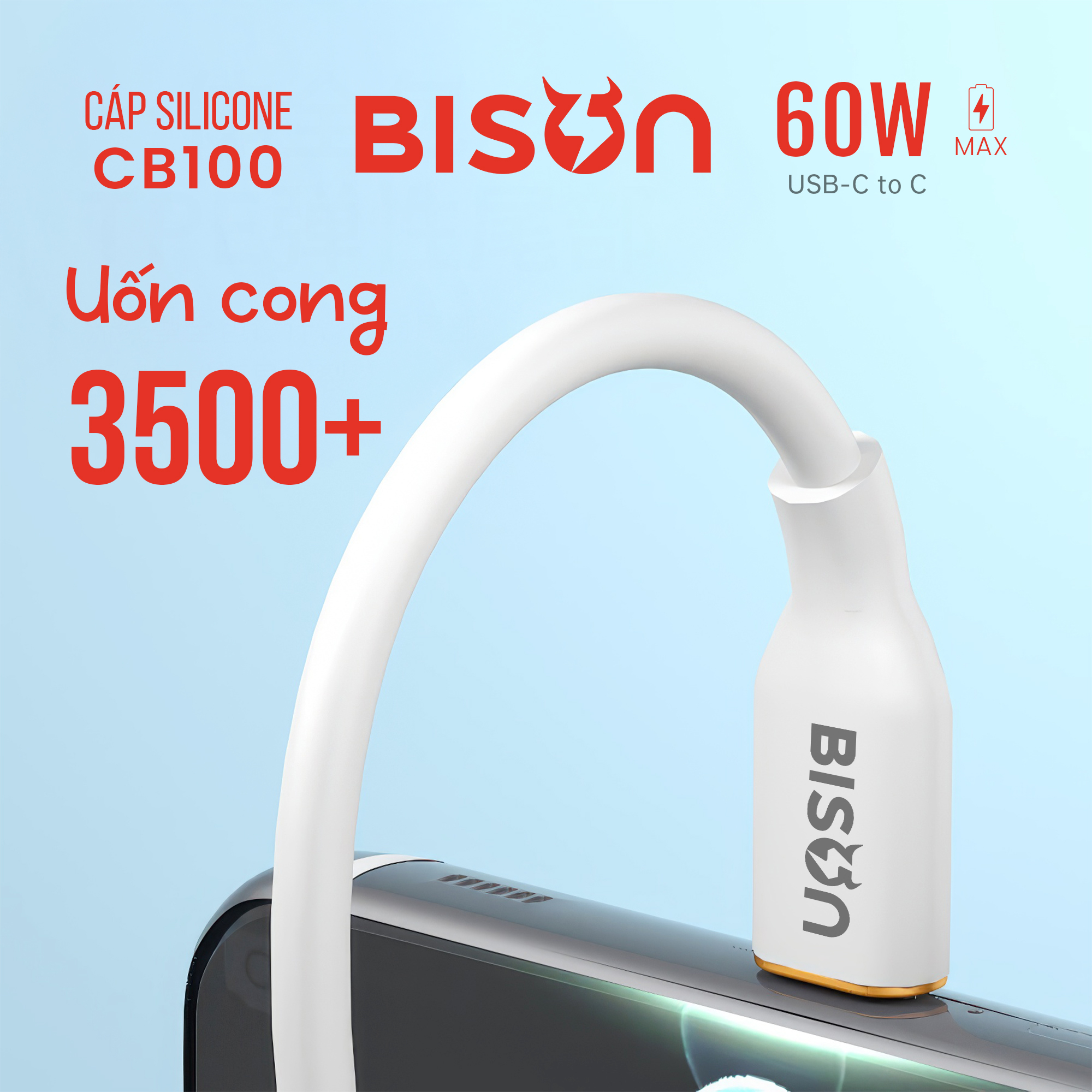 Cap silicone Bison 60W C to C CB100 (8)