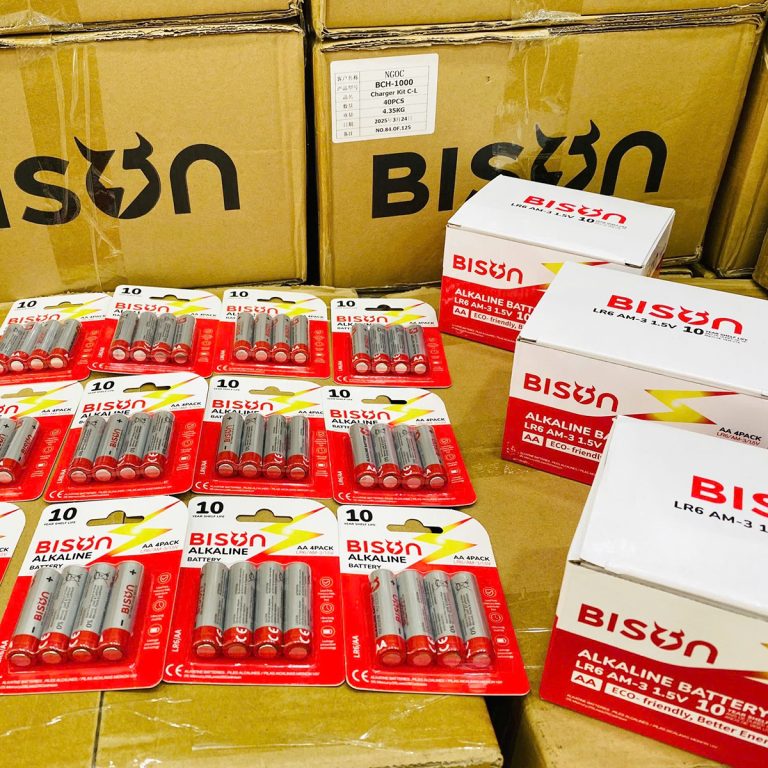 Pin Bison Pin tiểu AA Bion Alkaline (1 vỉ 4 viên pin) - Bison